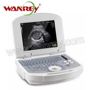 Vet Ultrasound Scanner WR-VD011